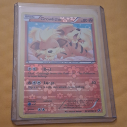 The Pokemon Company Growlithe RC4/RC25 Radiant Collection Reverse Holo Eng 2013 - Image 1