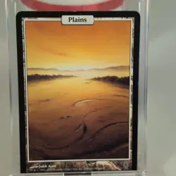 MTG Plains Unhinged NM-LP - Image 1