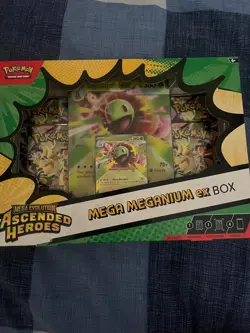 Pokemon TCG Mega Evolution - Ascended Heroes Mega Meganium EX Box - Image 1
