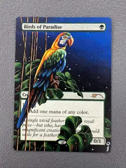 Birds of Paradise MTG Secret Lair Drop Hand Painted Borderless Altered Art oj - Image 1
