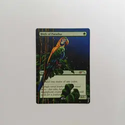 Birds of Paradise MTG Secret Lair Drop Hand Painted Borderless Altered Art oj - Image 2