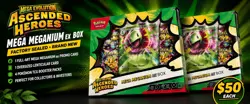 Pokemon Mega Evolution Ascended Heroes Mega Meganium ex Box Sealed New - Image 1
