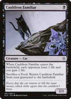 Cauldron Familiar Throne of Eldraine 81 Normal NM - Image 1