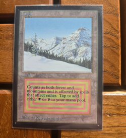 1993 MTG Magic The Gathering Collectors' Edition International Taiga NM+ - Image 1