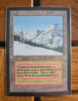 1993 MTG Magic The Gathering Collectors' Edition International Taiga NM+ - Image 3