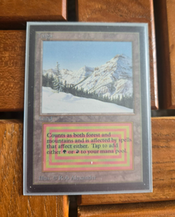 1993 MTG Magic The Gathering Collectors' Edition International Taiga NM+ - Image 4