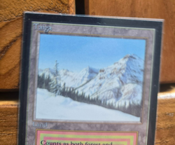 1993 MTG Magic The Gathering Collectors' Edition International Taiga NM+ - Image 5