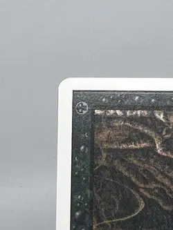 MTG EVIL PRESENCE Unlimited Edition Regular MT+ Uncommon Magic The Gathering - Image 4