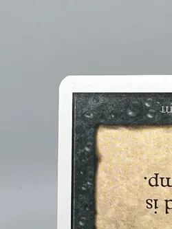 MTG EVIL PRESENCE Unlimited Edition Regular MT+ Uncommon Magic The Gathering - Image 5