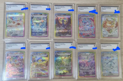 Terastal Festival Eevee Evolution SAR Complete Set Of 10 Pokemon Card Korean - Image 1