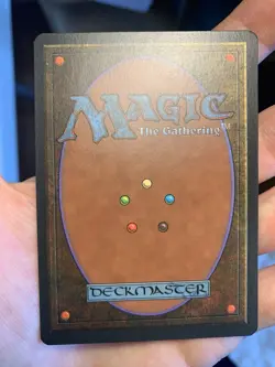 10x German Fbb Swamp • Pack Fresh • Basic Land • Mtg - Image 3