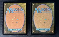 x2 MTG Amphibian Downpour R 0051 Regular Rare MH3 Modern Horizons 3 NM - Image 2