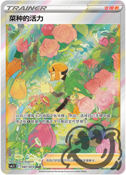 Pokemon TCG Chinese Sword & Shield Gardenia's Vigor Holo Card CS6.5C-087 SAR - Image 1