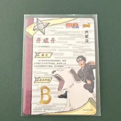 Naruto Kiba Inuzuka & Akamaru SSR Holo Chinese Card NR-SSR-046 48500/32500 - Image 2