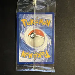 The Pokemon Company Miraidon SVP 013 SV Promo Black Star Holo EN 2023 120 HP - Image 2