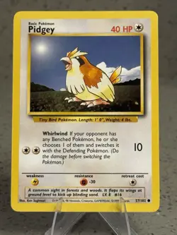 POKEMON PIDGEY 57/102 BASE SET COMMON NEAR MINT - Image 1