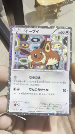 Eevee 189/BW-P Promo Holo / Pokemon Card - NM - MINT - Image 2