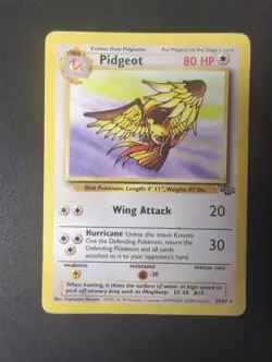 Pokemon Jungle "Pidgeot" 24/64 / Regular Rare / DMG - Image 1