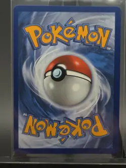 Pokemon TCG: First Partner Illustration Collection Series 2 - Johto GEN 2 Set NM - Image 2