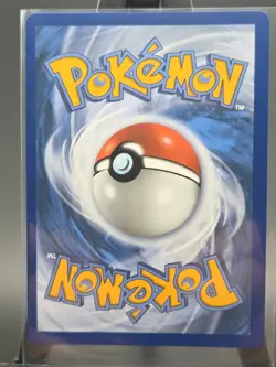 Pokemon TCG: First Partner Illustration Collection Series 2 - Johto GEN 2 Set NM - Image 4