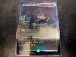 MTG Magic the Gathering FOIL Overgrown Farmland Borderless MID! - Image 1