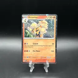 Arcanine 011 Holo Promo Scarlet & Violet Promo Pokemon Near Mint - Image 1