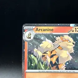 Arcanine 011 Holo Promo Scarlet & Violet Promo Pokemon Near Mint - Image 2