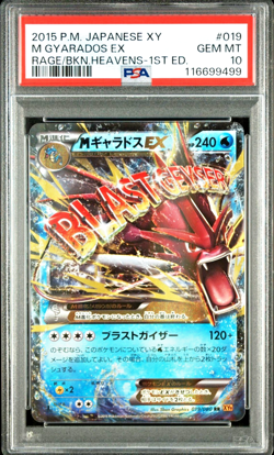 PSA 10 M Gyarados ex 1st Ed 019 XY Rage of the Broken Heavens Japanese Pokemon - Image 4