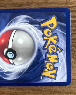 Pidgeotto - Base Set - 22/102 - Rare Non Holo - NM - Pokemon Card - EN - WoTC - Image 4