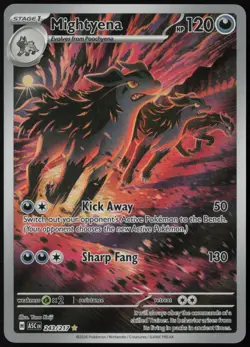 Mightyena 243/217 Ascended Heroes Illustration Rare Holo Pokemon NM - Image 1