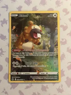 Pokemon TCG Bidoof GG29/GG70 Crown Zenith: Galarian Gallery NM Full Art Holo - Image 1