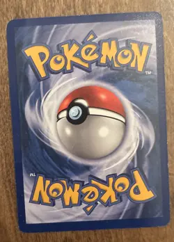 Seel - Base Set - 41/102 - Uncommon Non Holo - NM - Pokemon Card - EN - WoTC - Image 2