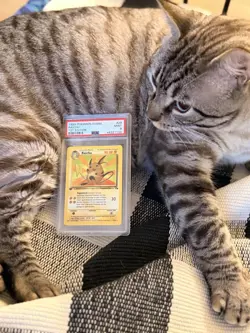 1999 POKEMON FOSSIL #29 RAICHU 1ST EDITION PSA 9 MINT - Image 3