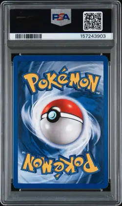 PSA 8 SHINING MAGIKARP 66/64 & GYARADOS 65/64 | 1st Edition Seq. Pokemon Card - Image 3
