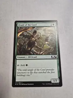 Druid of the Cowl Core Set 2019 Regular - Image 1
