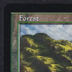 FOREST #449 Retro Frame Foil Land Commander Masters MTG Magic Gathering NM - Image 3