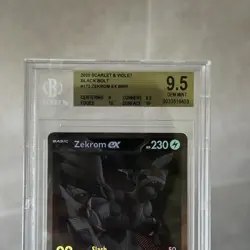Pokemon TCG Zekrom EX 172/086 BWR Black Bolt 2025 BGS 9.5 GEM MINT English - Image 3