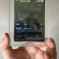 Pokemon TCG Zekrom EX 172/086 BWR Black Bolt 2025 BGS 9.5 GEM MINT English - Image 5