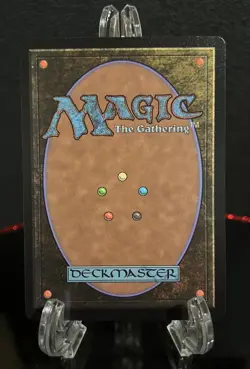 MTG Tarnation Vista (Showcase) (Raised Foil) Near Mint Foil OTJ - Image 2