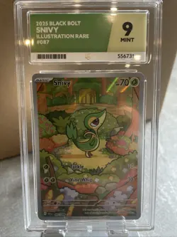 Pokemon Black Bolt Snivy Illustration Rare 087/086 Ace Graded 9 Mint - Image 1