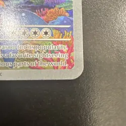 Wailord Journey Together Holo Special Illustration Card 162/159 NM - Image 4
