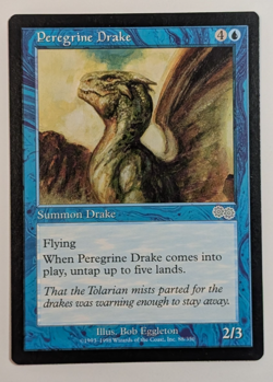 MTG - 1x Peregrin Drake - Urza's Saga - NM - Vintage - Magic The Gathering, 1998 - Image 1