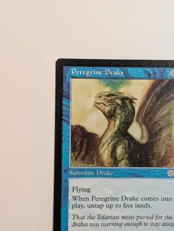 MTG - 1x Peregrin Drake - Urza's Saga - NM - Vintage - Magic The Gathering, 1998 - Image 3