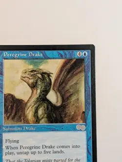 MTG - 1x Peregrin Drake - Urza's Saga - NM - Vintage - Magic The Gathering, 1998 - Image 4