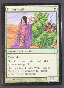 MTG - 1x Tinder Wall - Coldsnap - Theme Deck - LP - Green - Magic The Gathering - Image 1