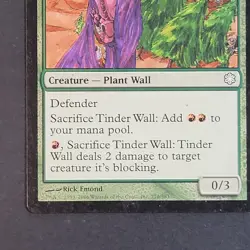 MTG - 1x Tinder Wall - Coldsnap - Theme Deck - LP - Green - Magic The Gathering - Image 3