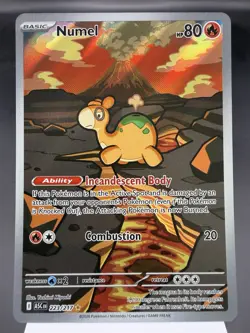 Numel 223/217 - Illustration Rare - Ascended Heroes Pokemon Card MINT - Image 1