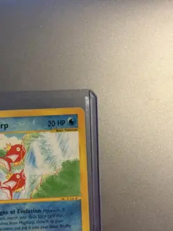 Magikarp 75/144 MP Common Skyridge 2003 Pokemon TCG Non Holo - Image 5