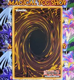 Yugioh Paladin of White Dragon Magician's Force Ultra Rare MFC-026 Holo Bleed NM - Image 3