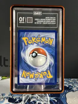 TAG 10 Pokemon 2023 Lucario VSTAR SWSH291 SWSH Sword & Shield Promo Cards Holo - Image 2